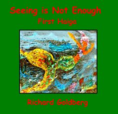 Seeing is Not Enough book cover