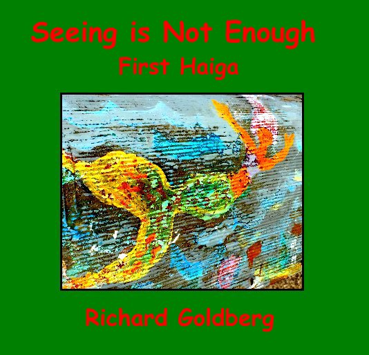 View Seeing is Not Enough by Richard Goldberg