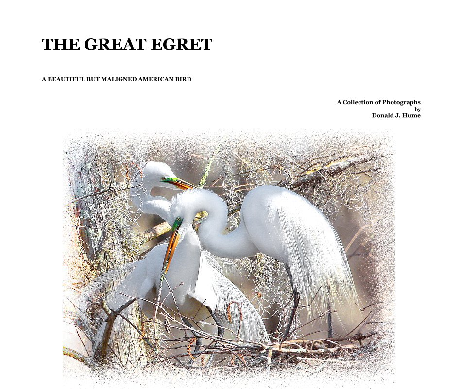 Bekijk THE GREAT EGRET op A Collection of Photographs by Donald J. Hume