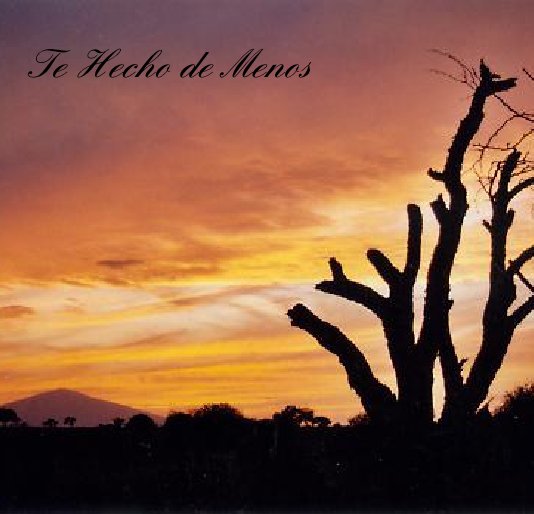 View Te Hecho de Menos by irisparedes