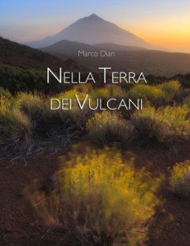 Nella Terra dei Vulcani book cover