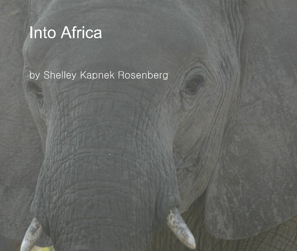 View Into Africa by Shelley Kapnek Rosenberg
