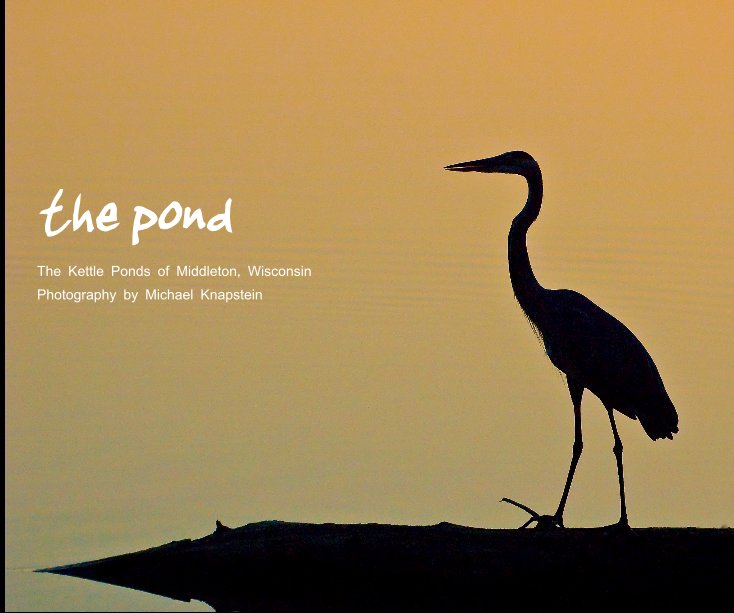 View the pond (hardcover) by Michael Knapstein