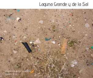 Laguna Grande y de la Sal book cover