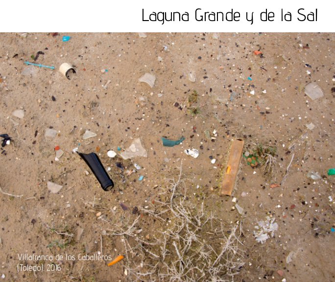 Ver Laguna Grande y de la Sal por Javier García Bargueño