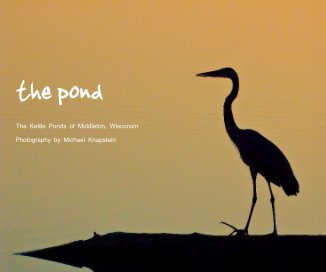 the pond (softcover) book cover
