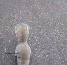 squirrel friends book cover