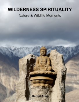 Wilderness Spirituality book cover
