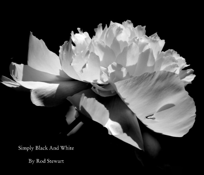 Simply Black And White By Rod Stewart By Rod Stewart Blurb Books