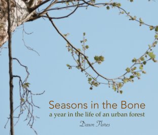 Seasons in the Bone book cover