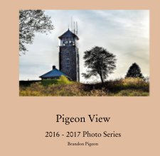 Pigeon View  2016 - 2017 Photo Series book cover