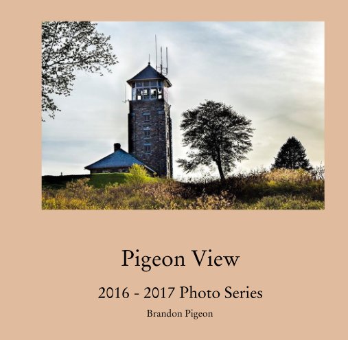View Pigeon View  2016 - 2017 Photo Series by Brandon Pigeon