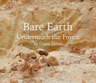 Bare Earth book cover
