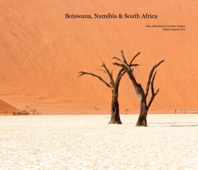 Botswana, Namibia & South Africa book cover