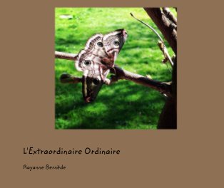 L'Extraordinaire Ordinaire book cover