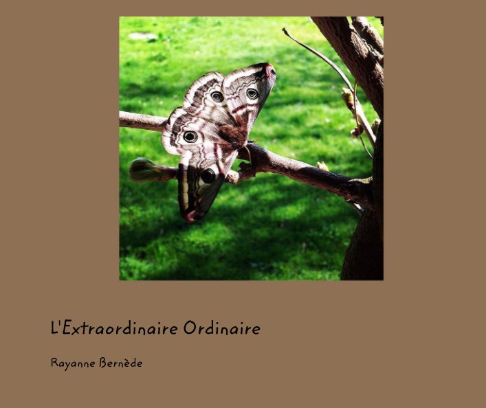 View L'Extraordinaire Ordinaire by Rayanne Bernède