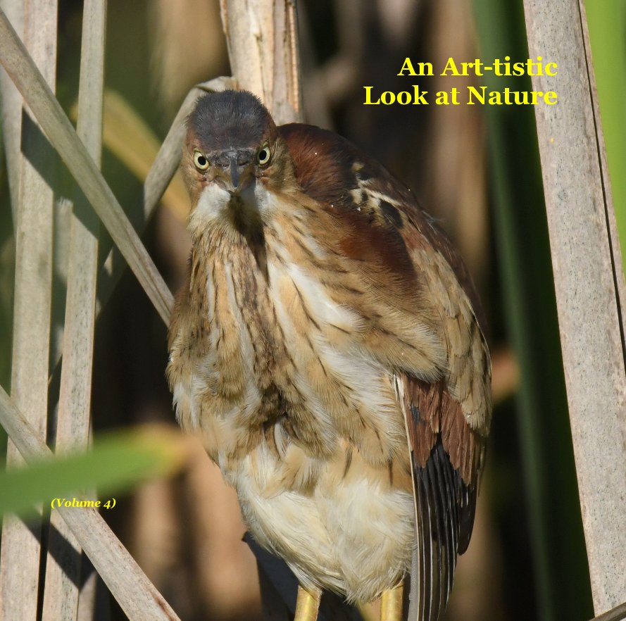 View An Art-tistic Look at Nature by Art Frith