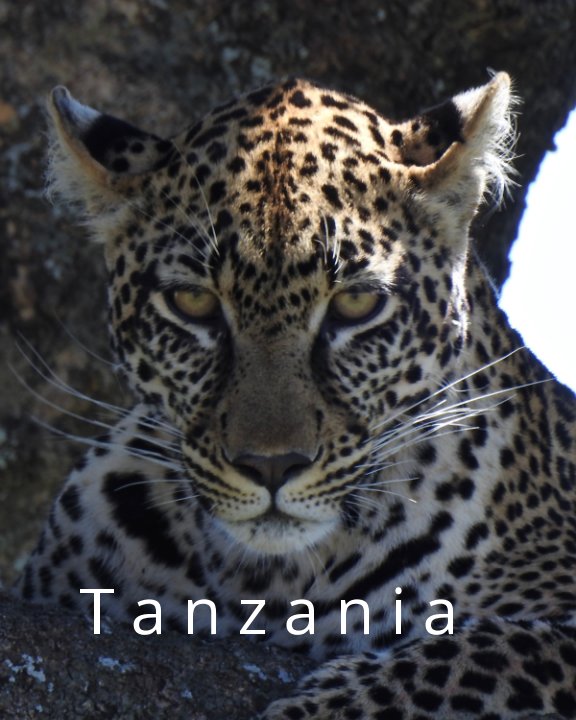 Visualizza Tanzania di Theo Hembury