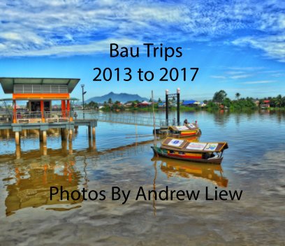 Bau Trips 2013-2017 book cover
