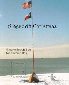 A Seadrift Christmas book cover