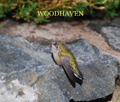 WOODHAVEN book cover