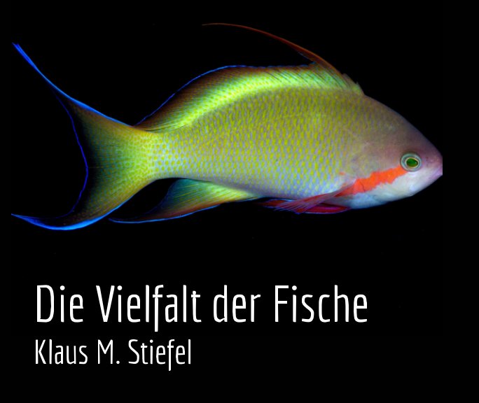 Die Vielfalt der Fische nach Klaus M. Stiefel anzeigen