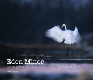Eden Minor book cover