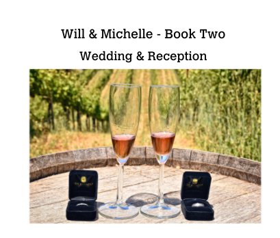 Will & Michelle - Book Two book cover