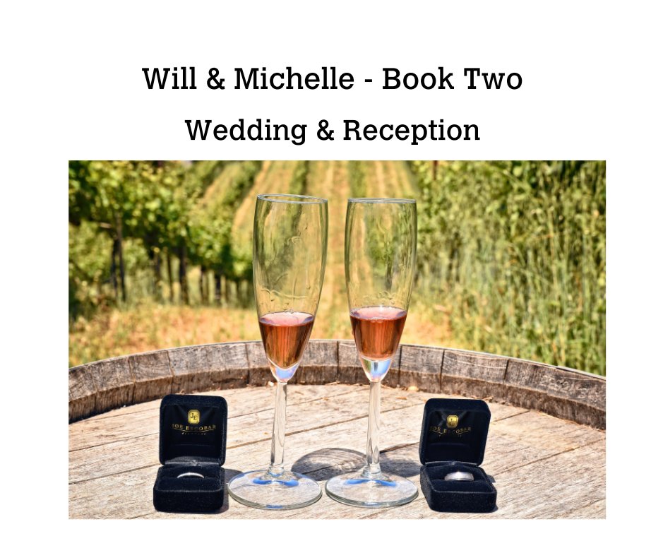 Ver Will & Michelle - Book Two por Teresa Dalsager