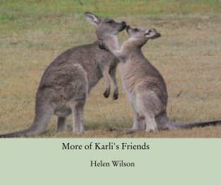 More of Karli's Friends book cover