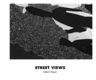 STREET VIEWS book cover