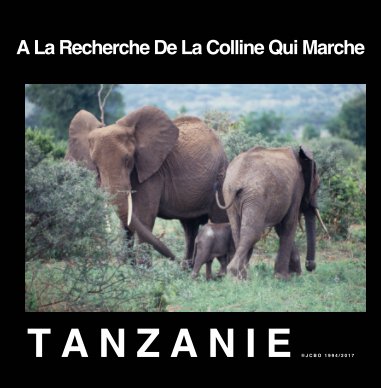 A La Recherche De La Colline Qui Marche book cover