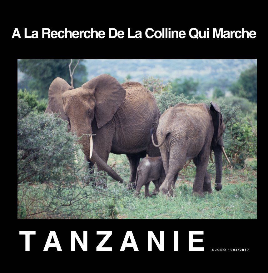 Bekijk A La Recherche De La Colline Qui Marche op Jean Claude BOULANGER