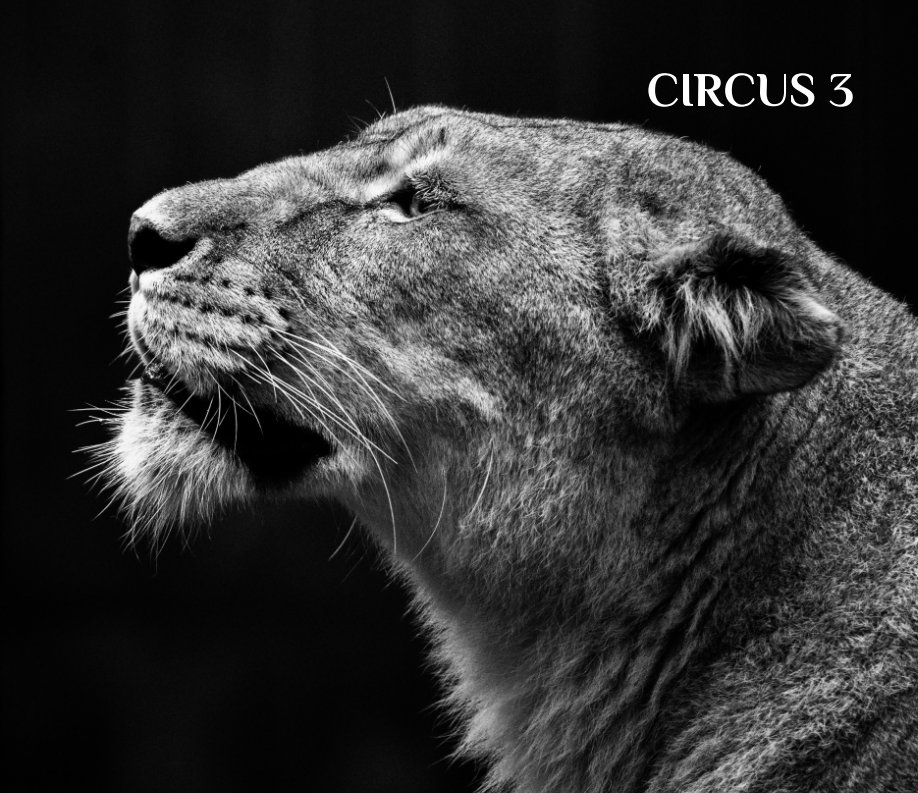 View CIRCUS 3 by Fischer Didier