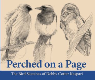 Perched On A Page: The Bird Sketches of Debby Cotter Kaspari book cover