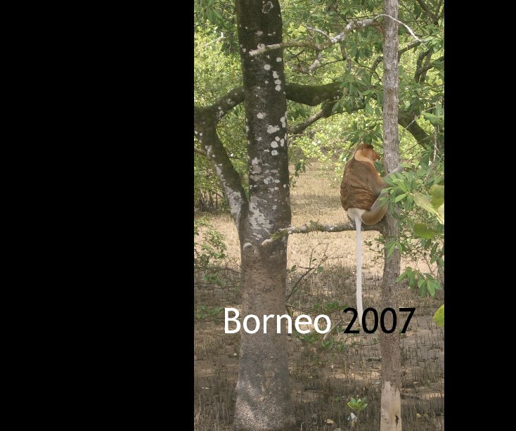 View Borneo by Ellen Brouwers