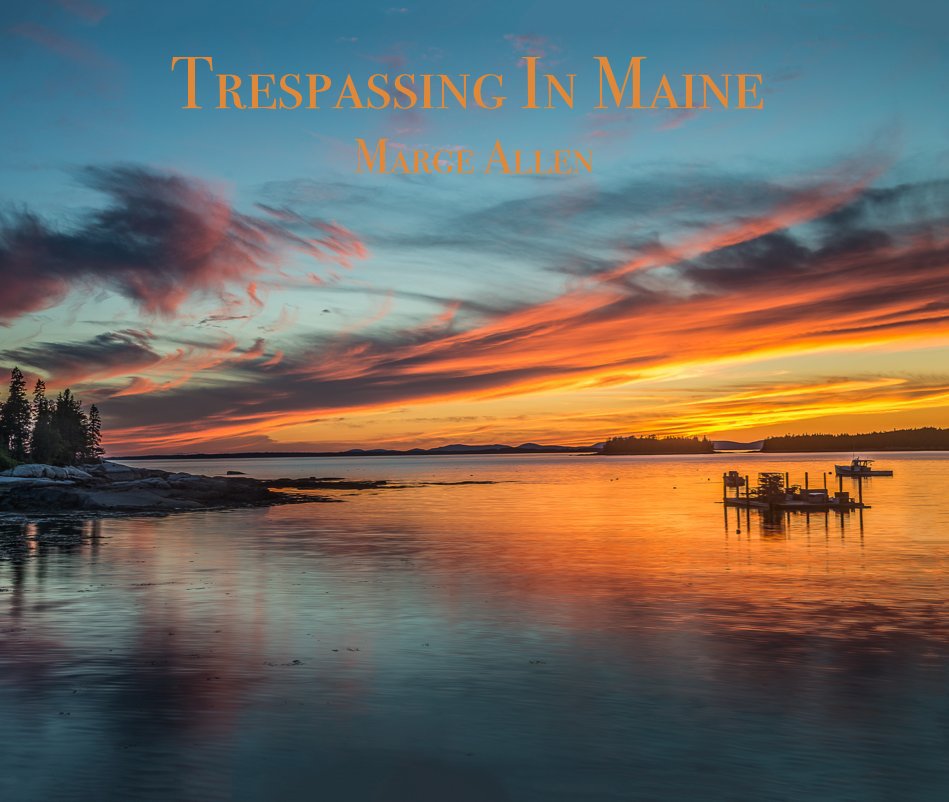 View Trespassing In Maine by Marge Allen