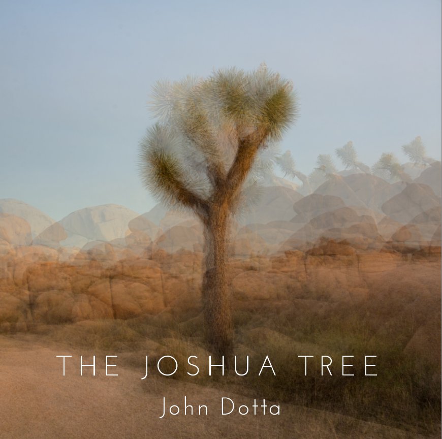 Visualizza The Joshua Tree di John Dotta