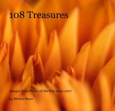 108 Treasures book cover