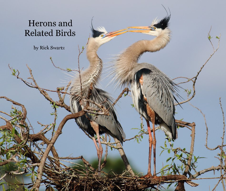 Visualizza Herons and Related Birds di Rick Swartz