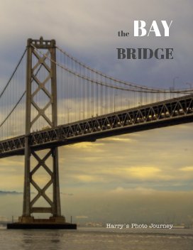 The BAY BRIDGE book cover