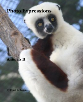 Photo Expressions book cover