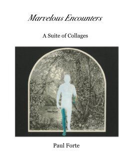 Marvelous Encounters book cover