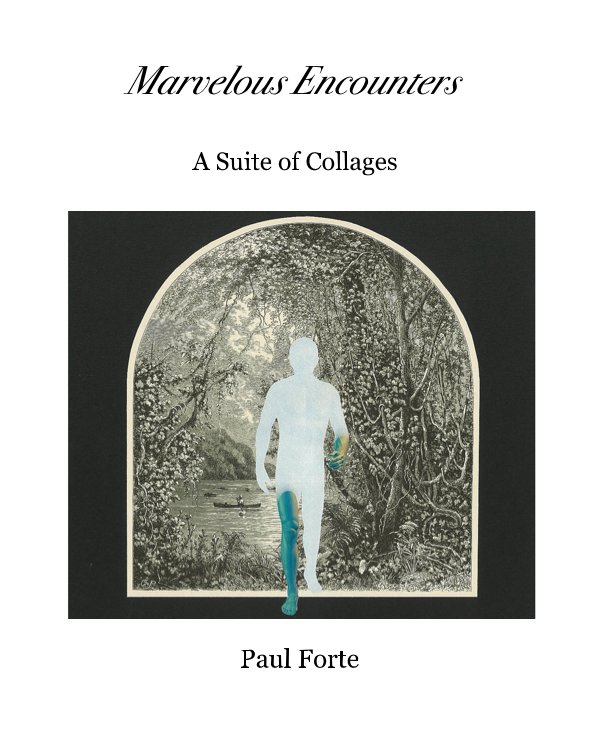 Visualizza Marvelous Encounters di Paul Forte