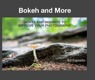 Bokeh and More book cover