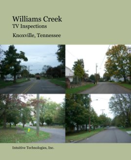 Business - Williams Creek TV Inspections book cover