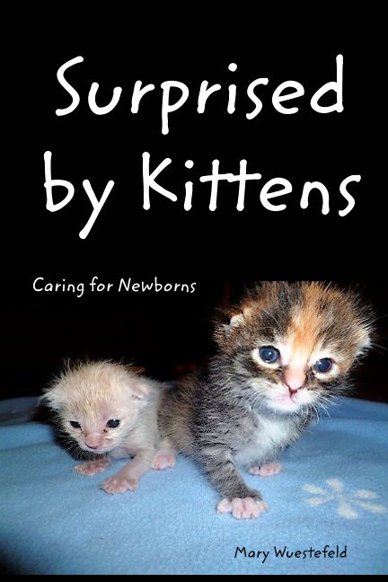 View Surprised By Kittens by Mary Wuestefeld