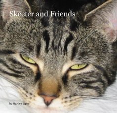 Skeeter and Friends book cover