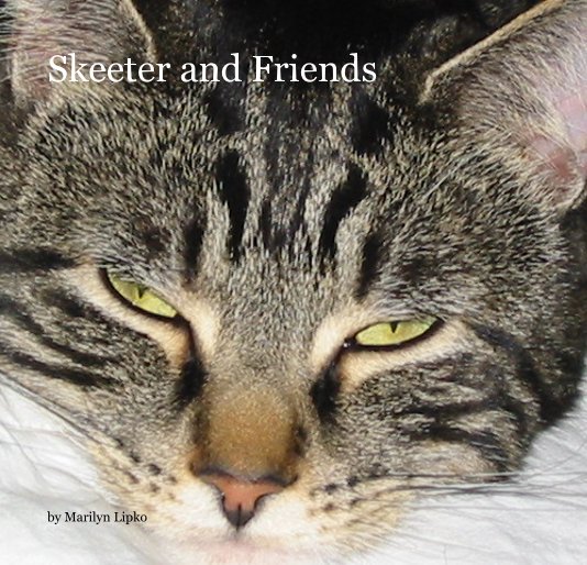 View Skeeter and Friends by Marilyn Lipko