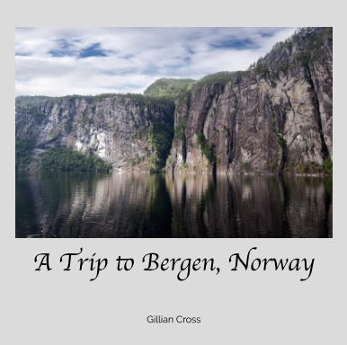 A Trip to Bergen, Norway book cover